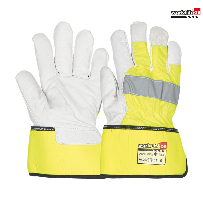 Winter_HiViz_20260108151433.png
